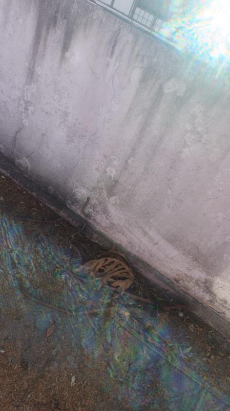 IMG-20240430-WA0165.jpg